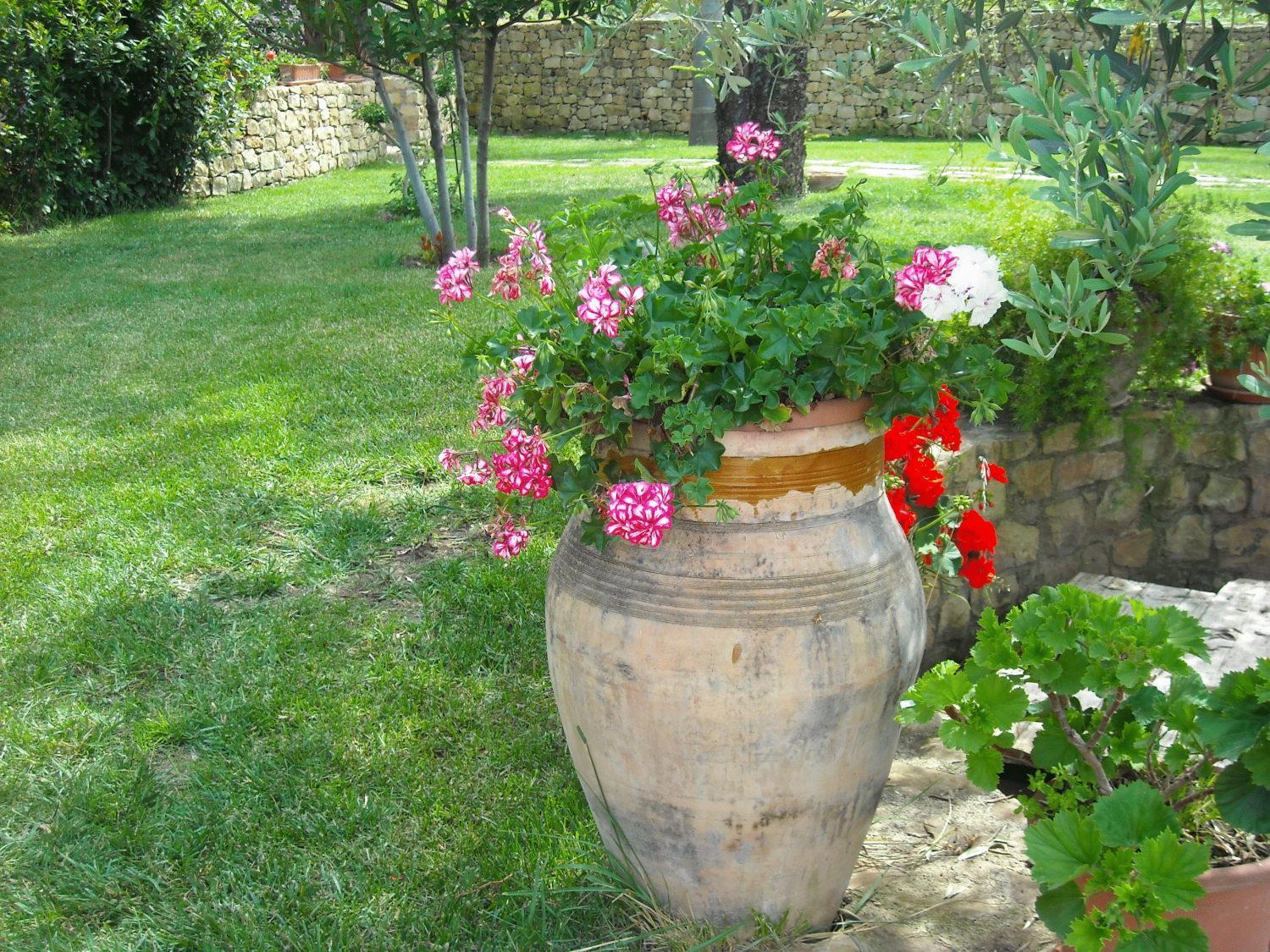 Agriturismo Villa Luca Sant'Agata di Militello Bagian luar foto
