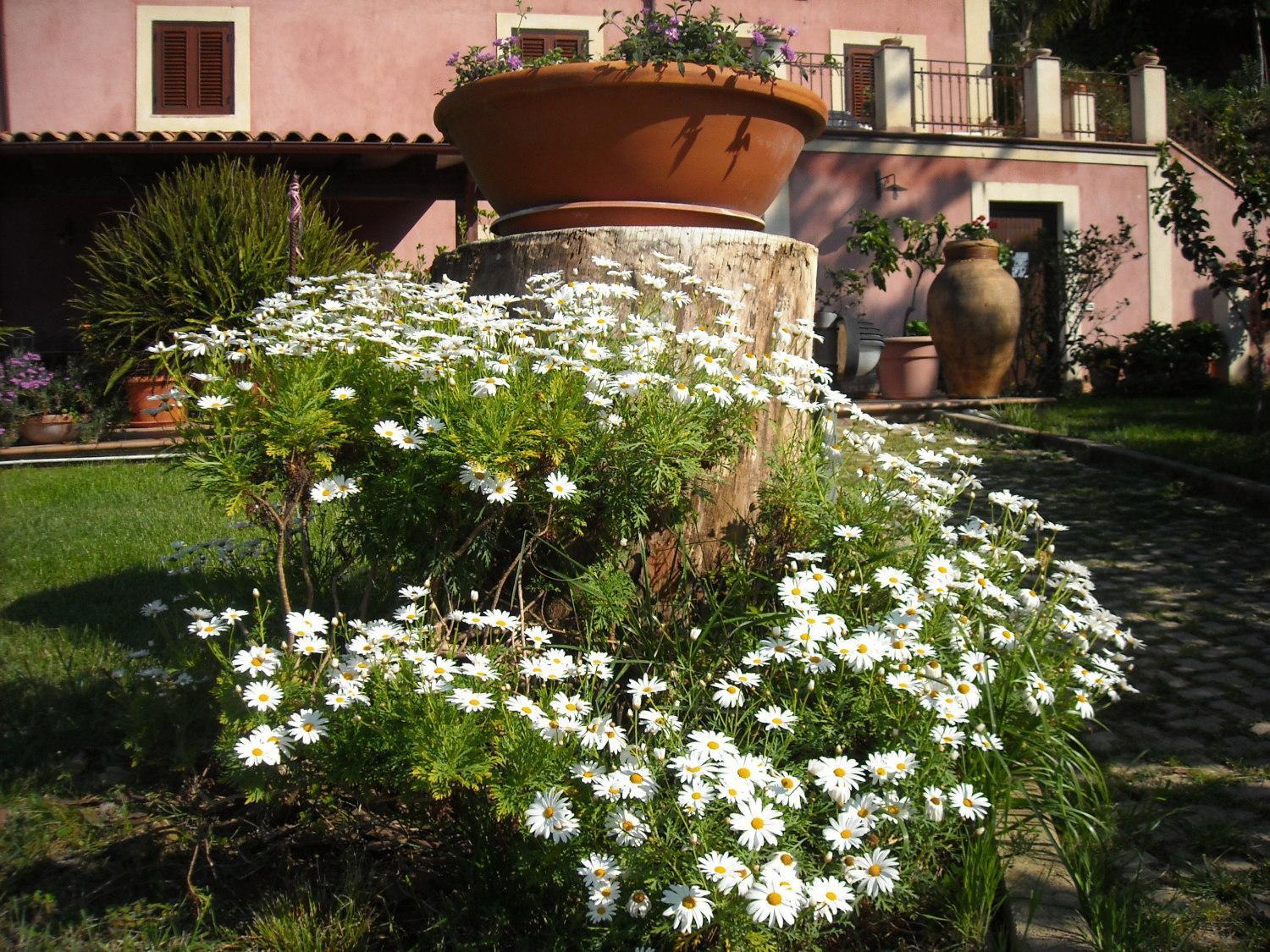 Agriturismo Villa Luca Sant'Agata di Militello Bagian luar foto